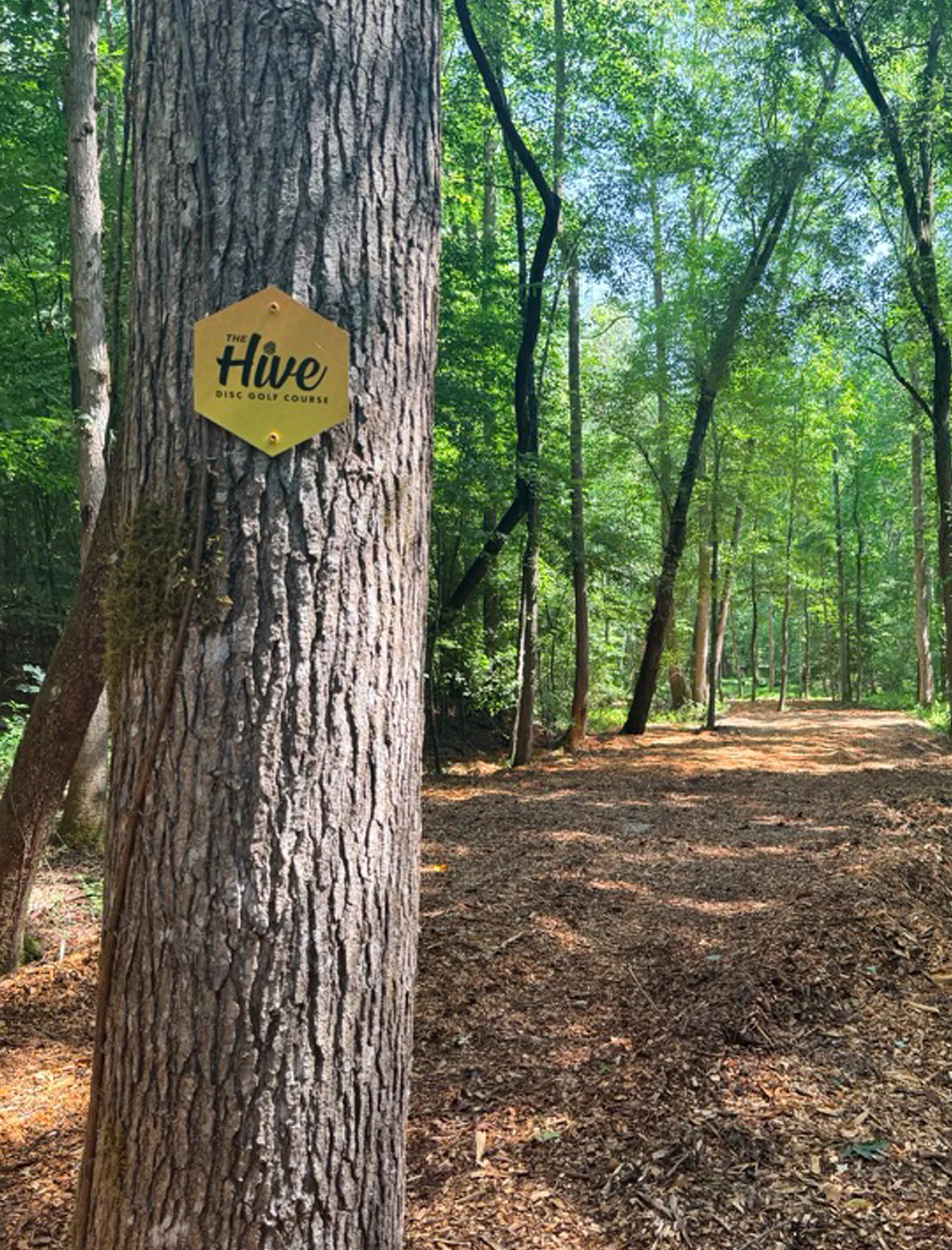 The Hive Disc Golf Course logo on a fairway landmark tree sign