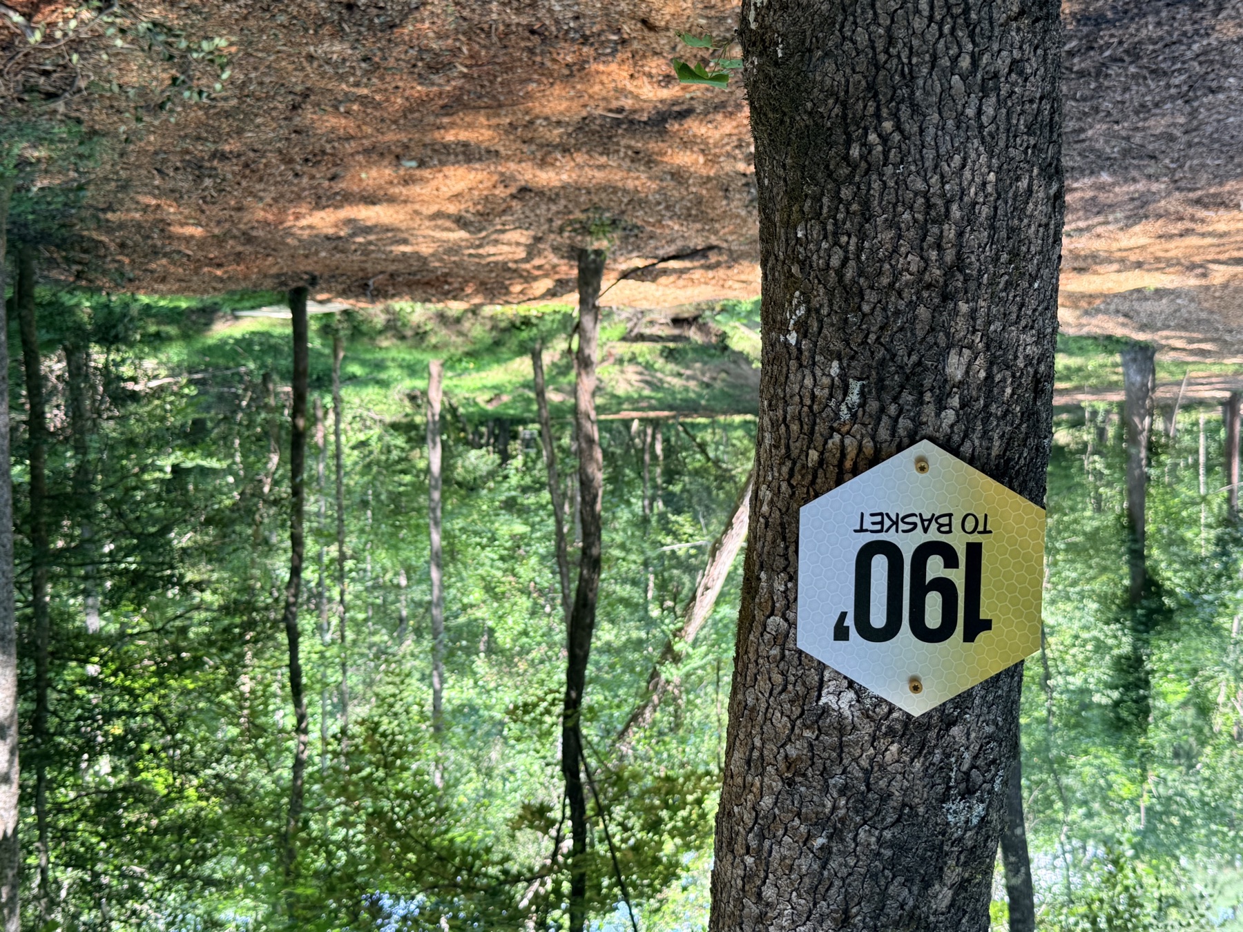 190 feet to basket rangefinding sign at The Hive