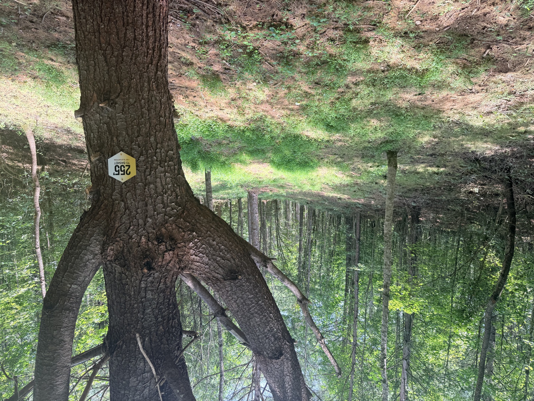 255 feet to basket rangefinding sign at The Hive
