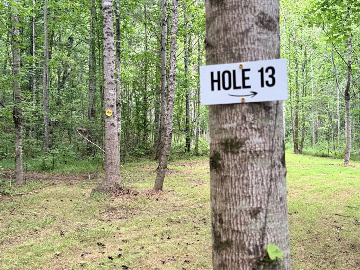 Hole 13 directional sign and Hive landmark marker