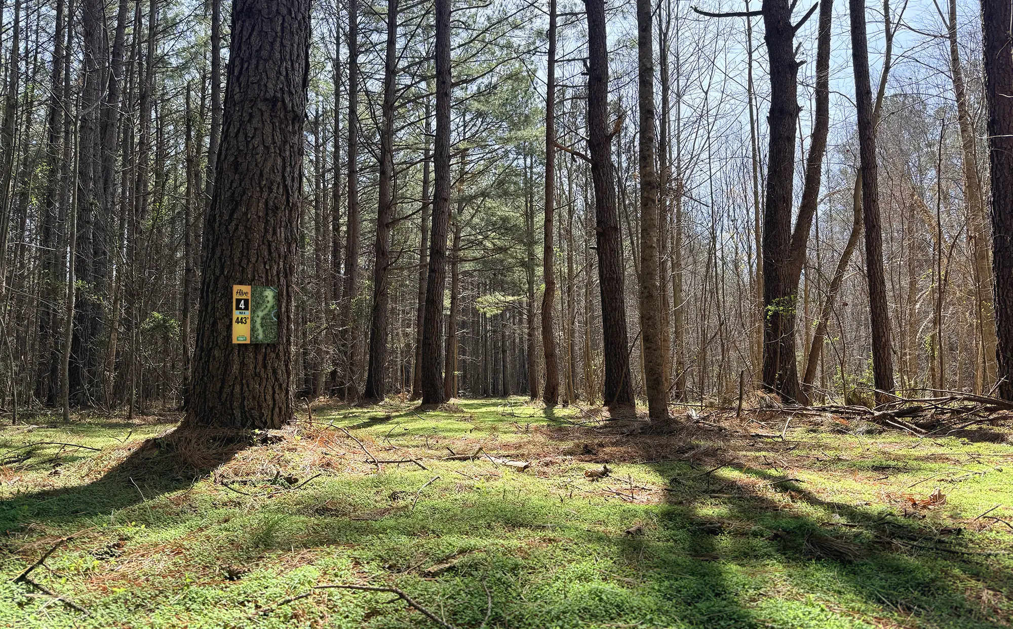 The Hive Hole 4 Tee Sign by Happy Little Accidents