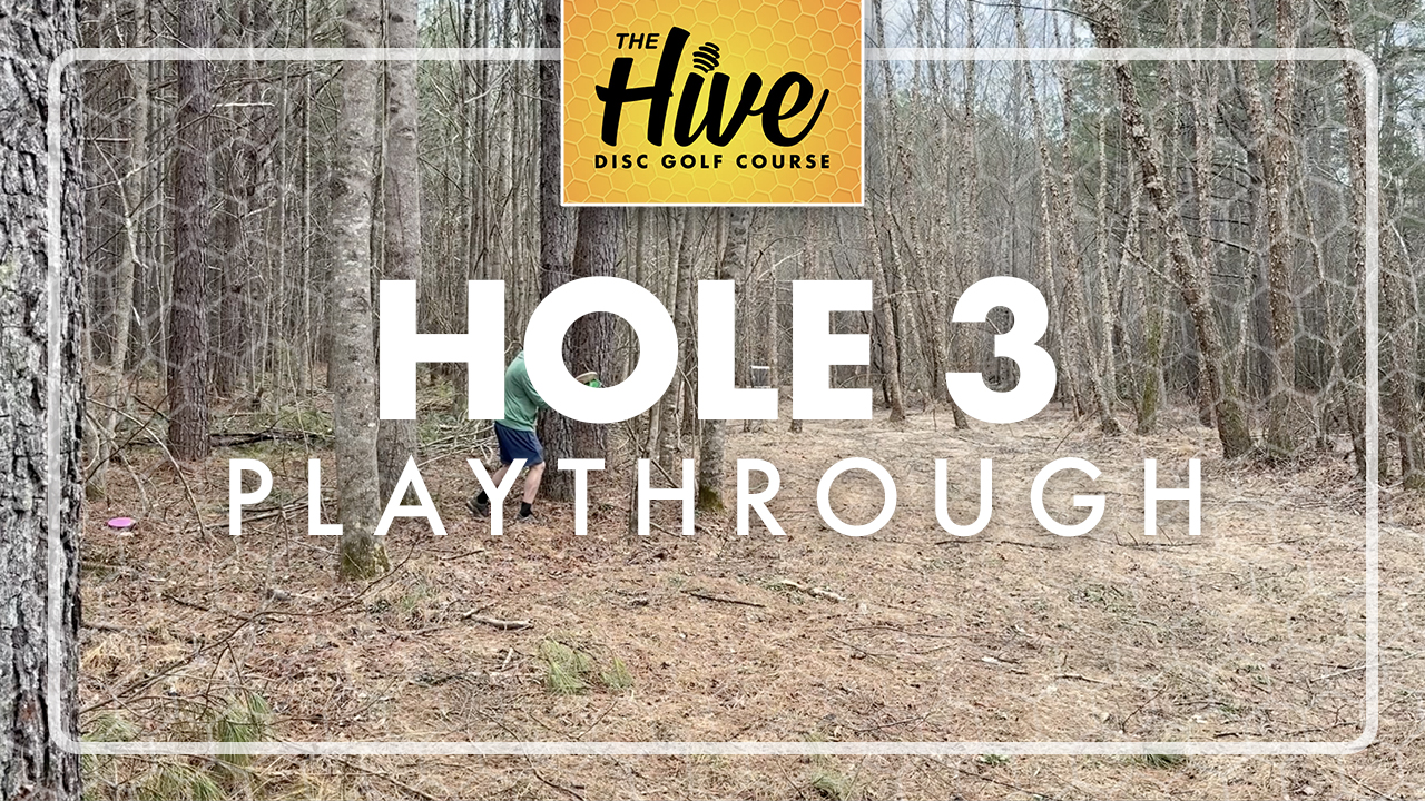 The Hive Hole 3 Playthrough