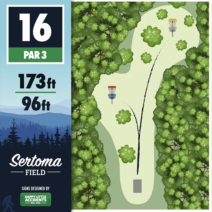 Sertoma Field Custom Disc Golf Tee Sign by Happy Little Accidents